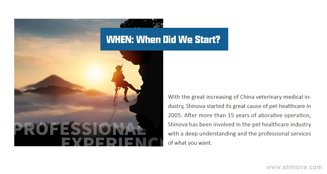 Veterinary Instrument Lead Rubber Jacket (PA01)