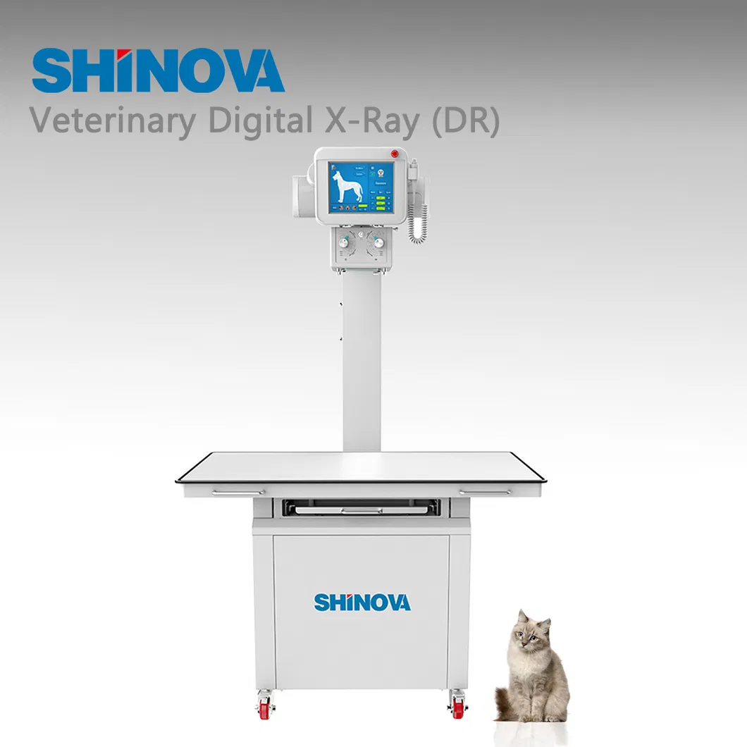 Veterinary Medical Equipment Veterinary Digital X-ray (DR) Dr-160V