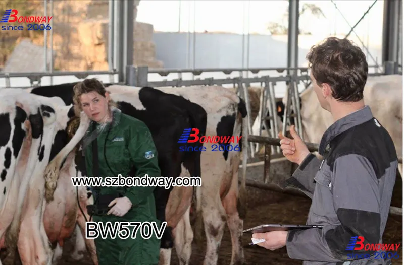 Veterinary Ultrasound Scanner, Ultrasound Machinefor Equine, Bovine, Swine, Canine, Feline, Horse, Cattle, Cow, Goat, Sheep, Vet Ultrasonic Machine