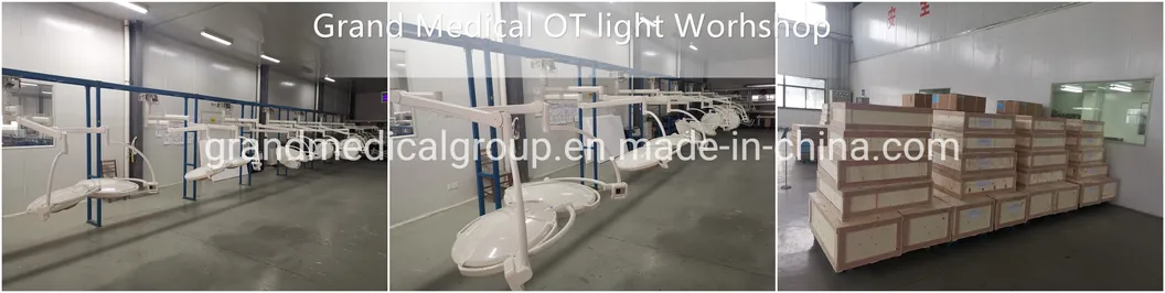 Whosale Hospital Examination Lamp Veterinary Equipment Ceiling Mounted Operating Light Medical Examination Lamp LED Mobile Surgical Light Manufacture